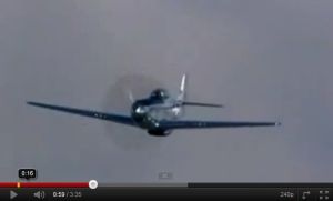 FRIDAY FLYING VIDEO: Glamorous vets